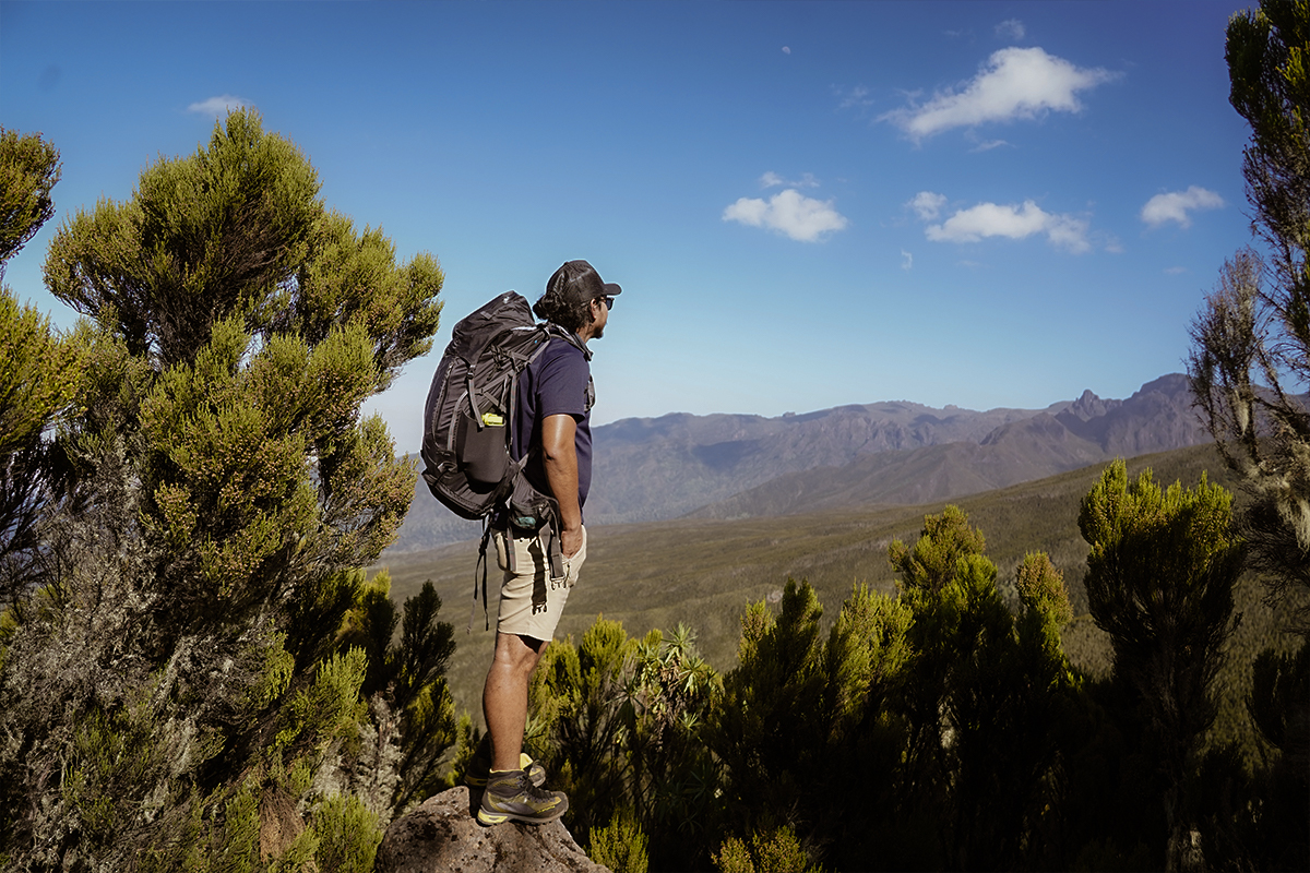 Beautiful Route to Kilimanjaro